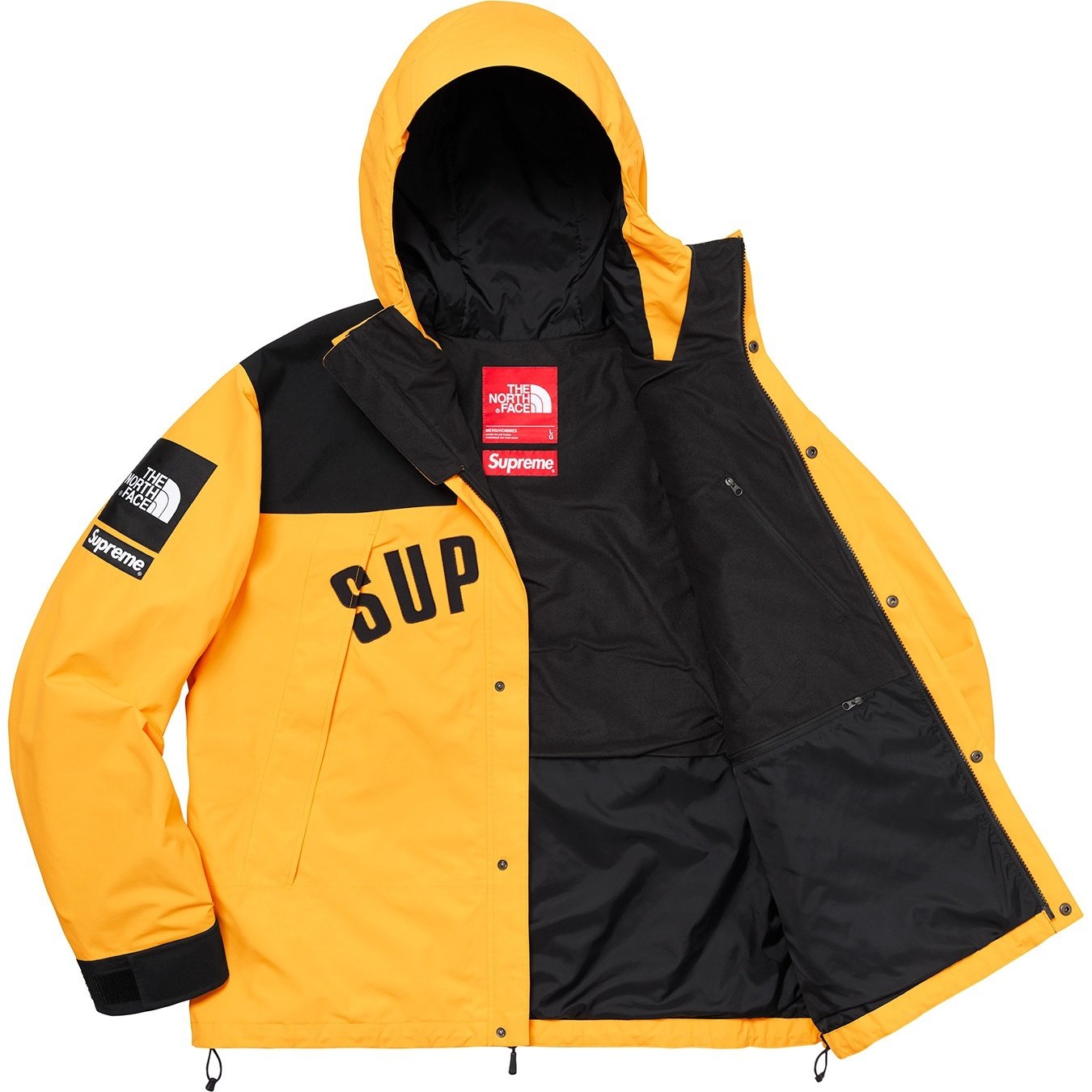 Supreme®/The North Face® Arc Logo Mountain Parka