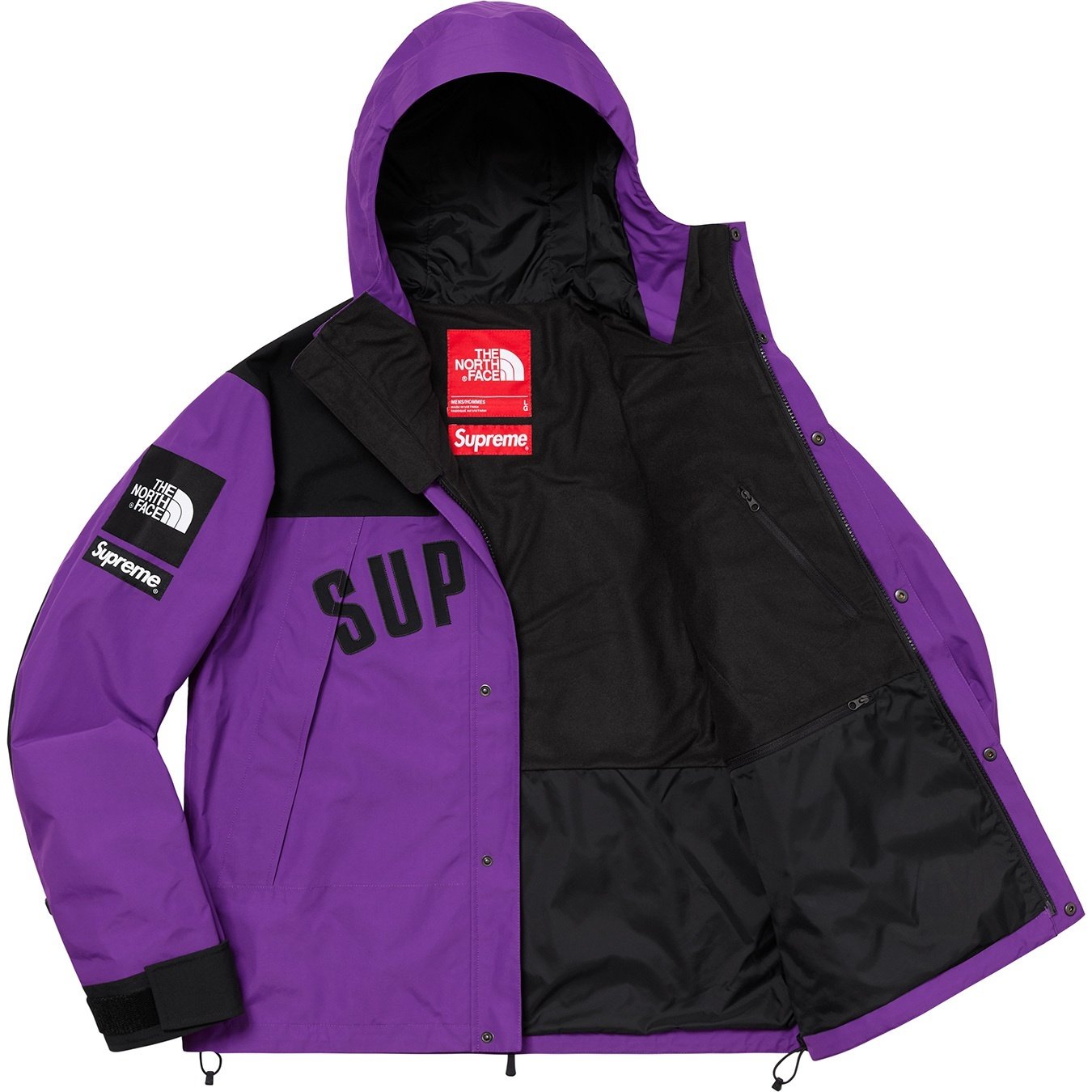 Supreme®/The North Face® Arc Logo Mountain Parka