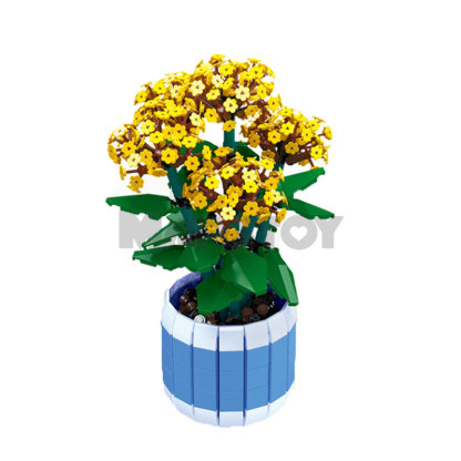 The Jonquile-marstoy