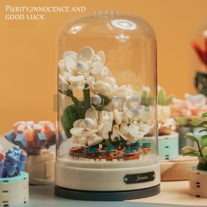 Everlasting Flower Jasmine-marstoy