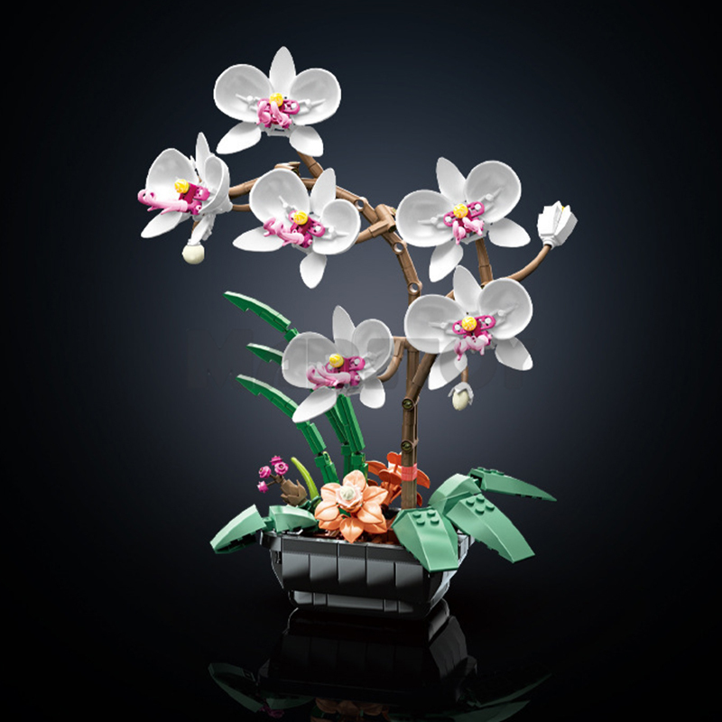 The Phalaenopsis Potted Plant-marstoy