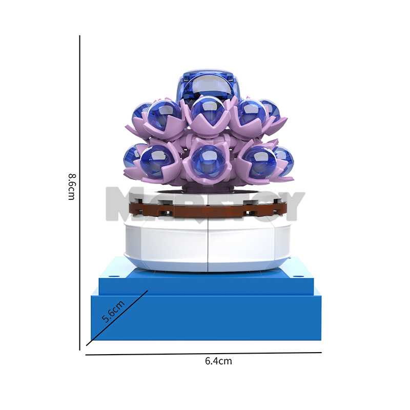 The Succulent Plants-marstoy