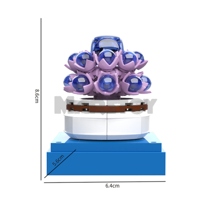 The Succulent Plants-marstoy