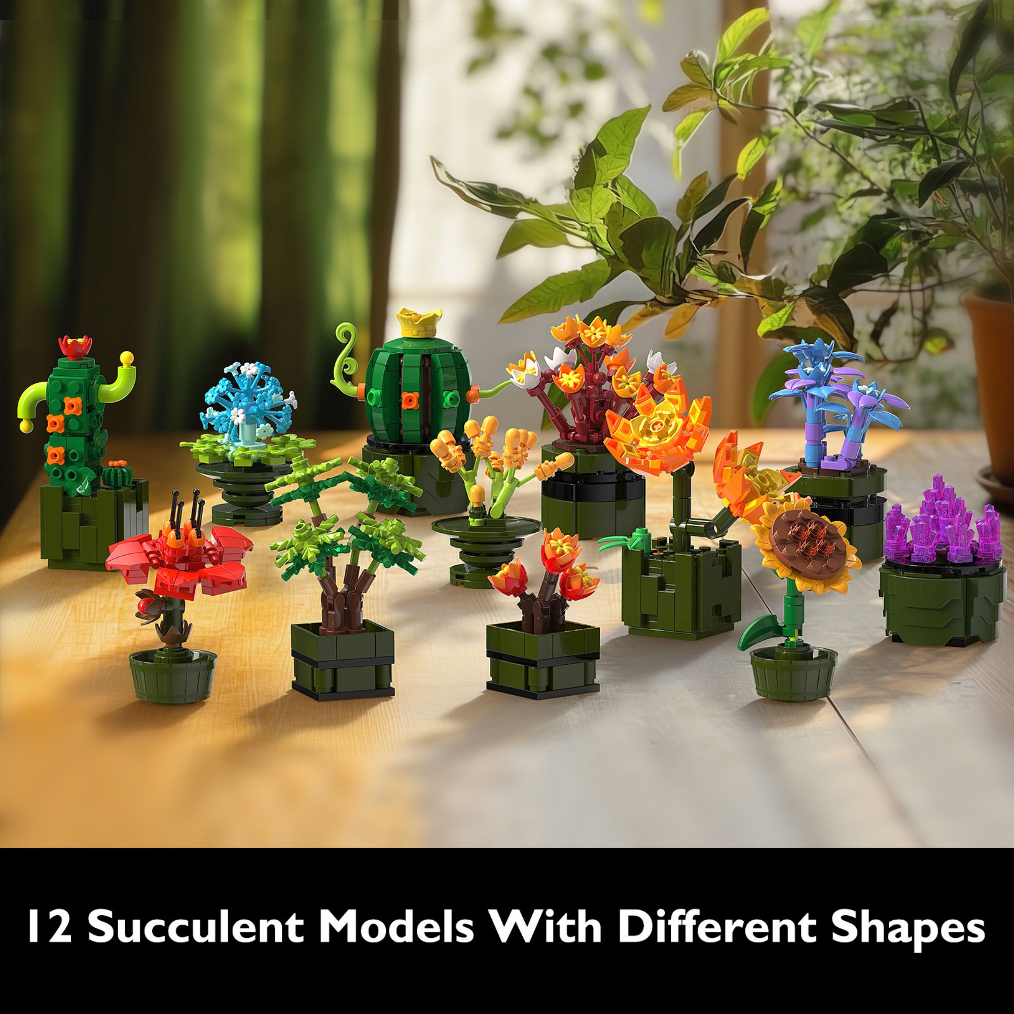 The 12-in-1 Plant Succulents