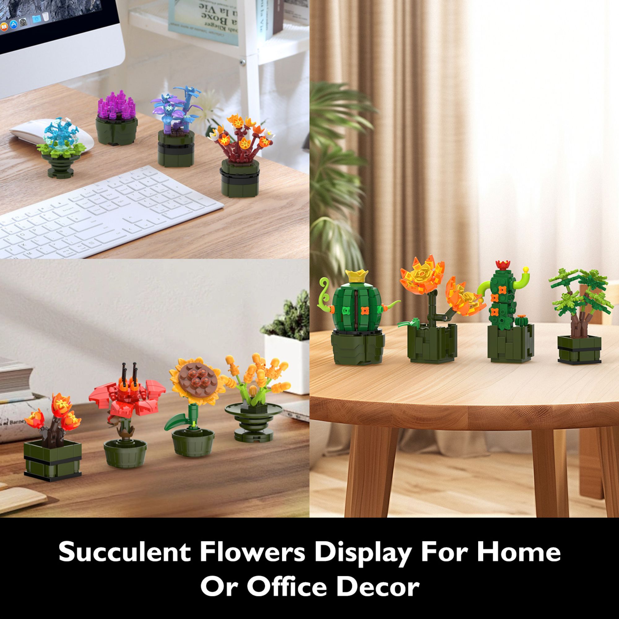 The 12-in-1 Plant Succulents