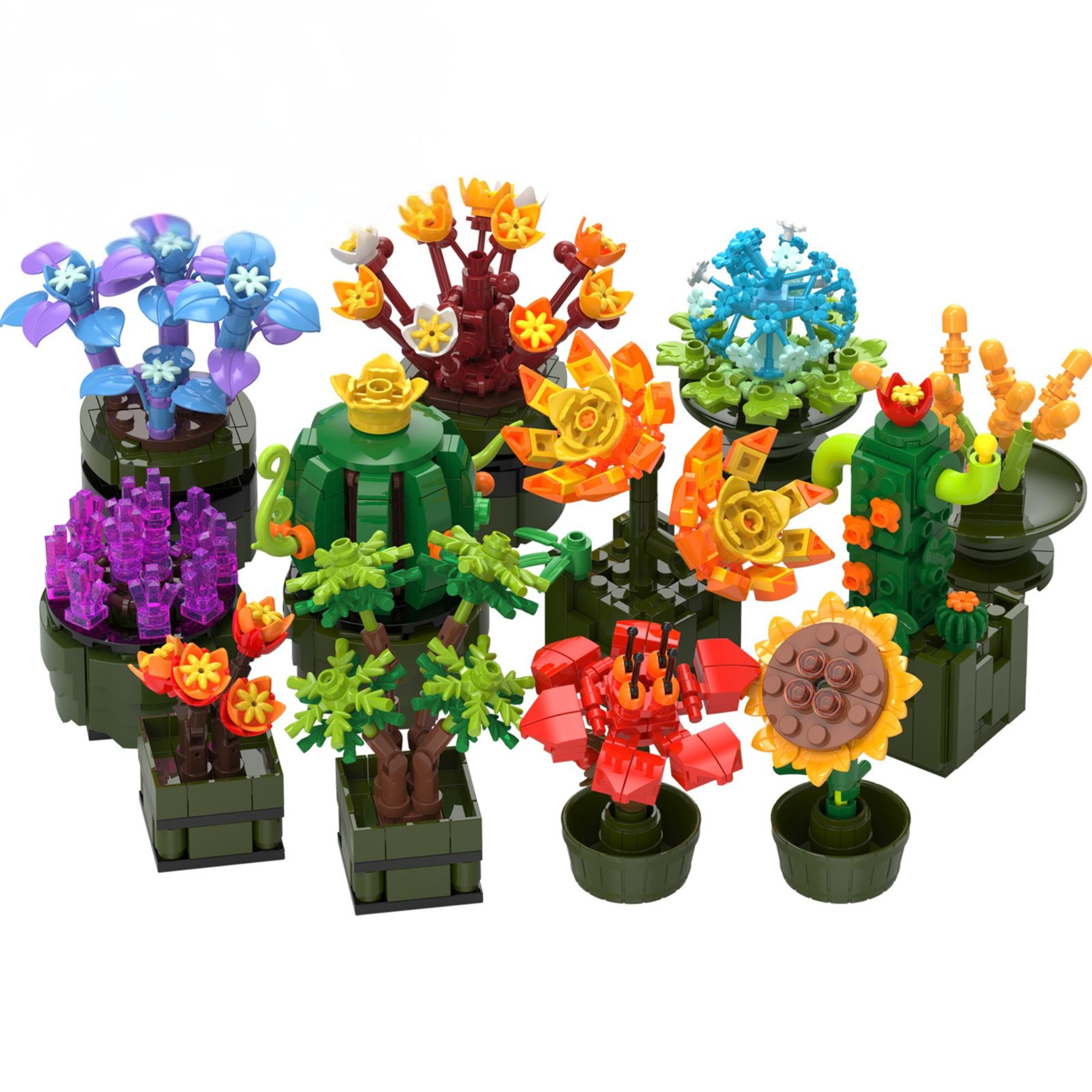 The 12-in-1 Plant Succulents