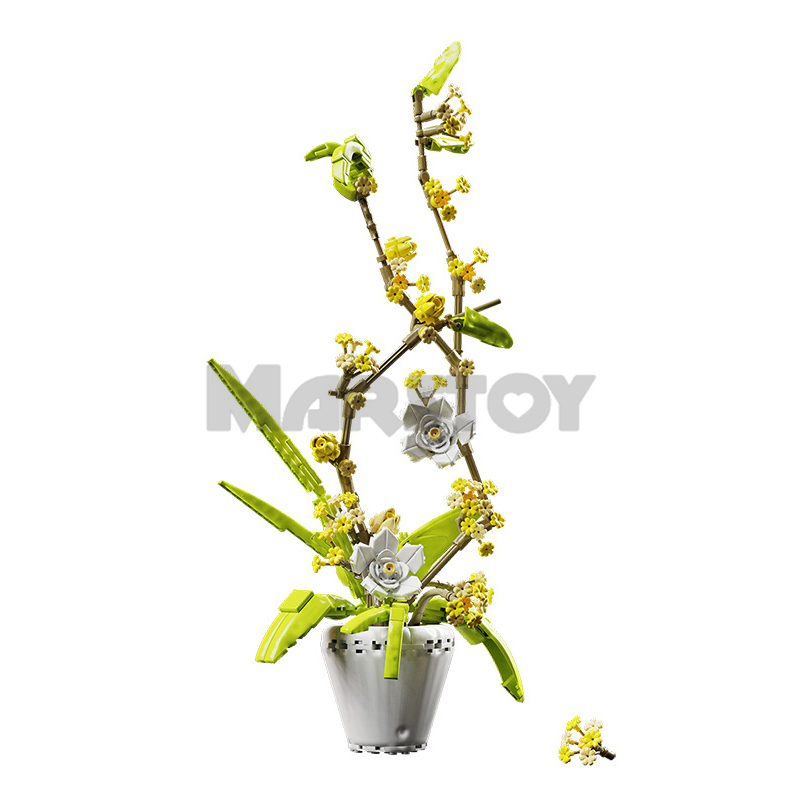 The Fragrans-marstoy