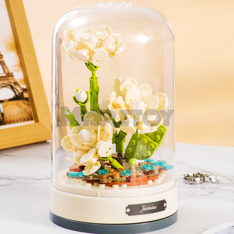 Everlasting Flower Jasmine-marstoy