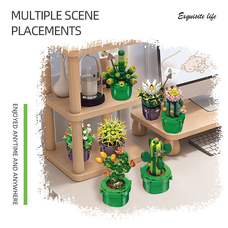 The Cactus-marstoy