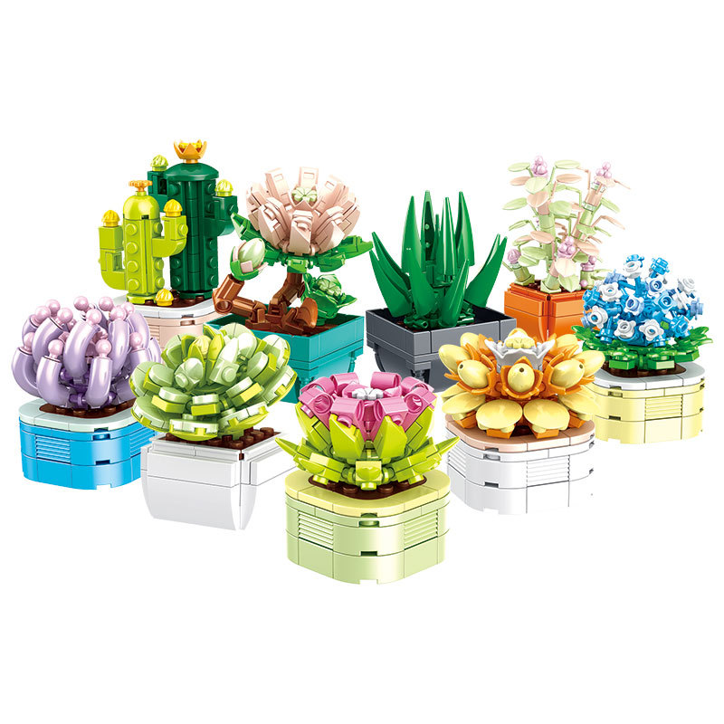 The Succulent Plants-marstoy