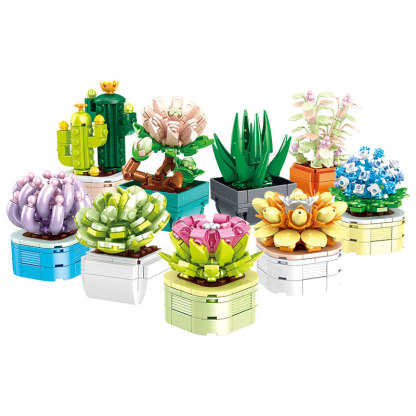 The Succulent Plants-marstoy