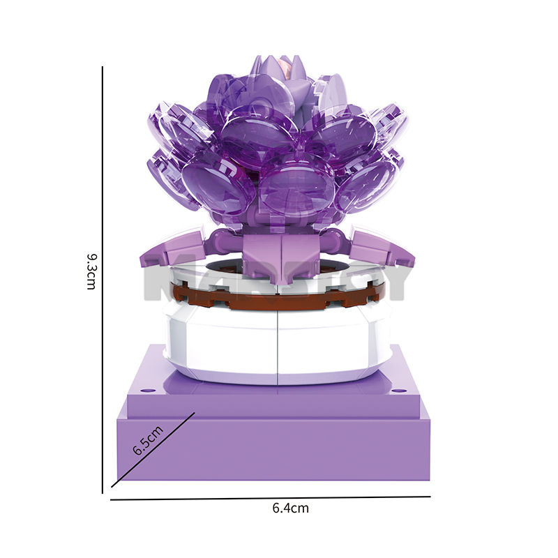 The Succulent Plants-marstoy