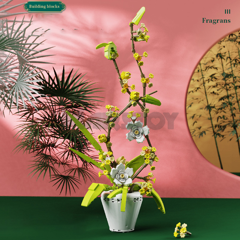 The Fragrans-marstoy