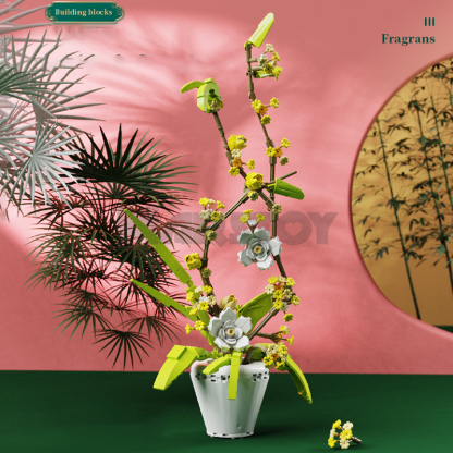 The Fragrans-marstoy