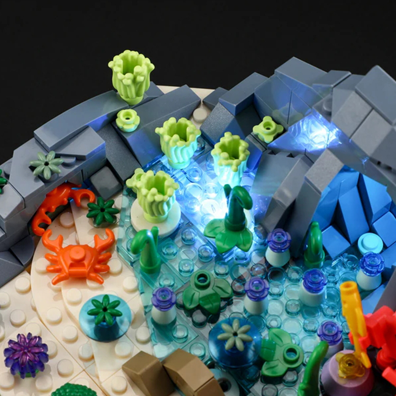 The Turtle Reef Dream-marstoy