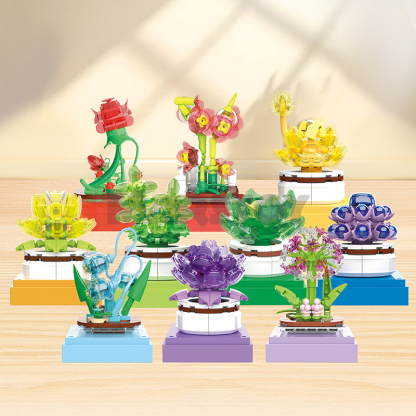 The Succulent Plants-marstoy