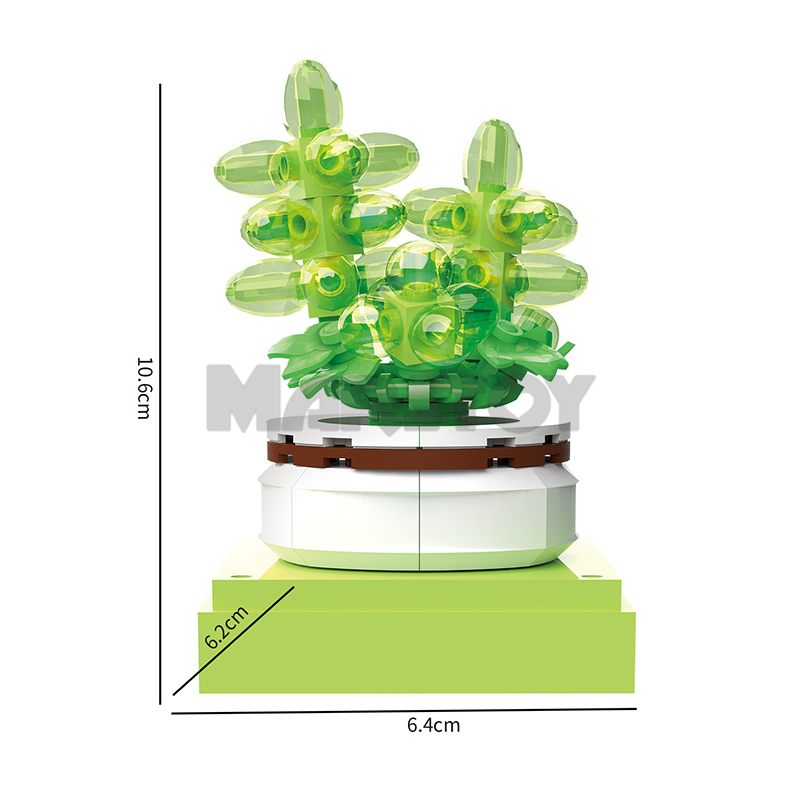 The Succulent Plants-marstoy