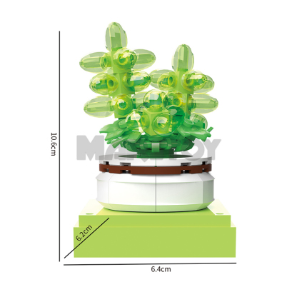 The Succulent Plants-marstoy