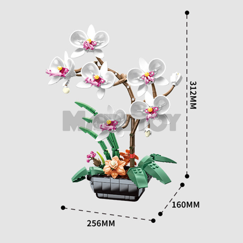 The Phalaenopsis Potted Plant-marstoy