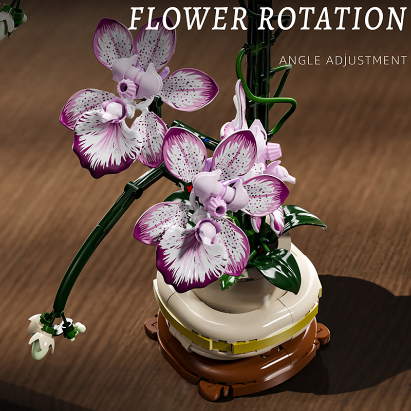 The Oncidium-marstoy