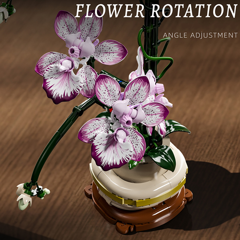 The Oncidium-marstoy