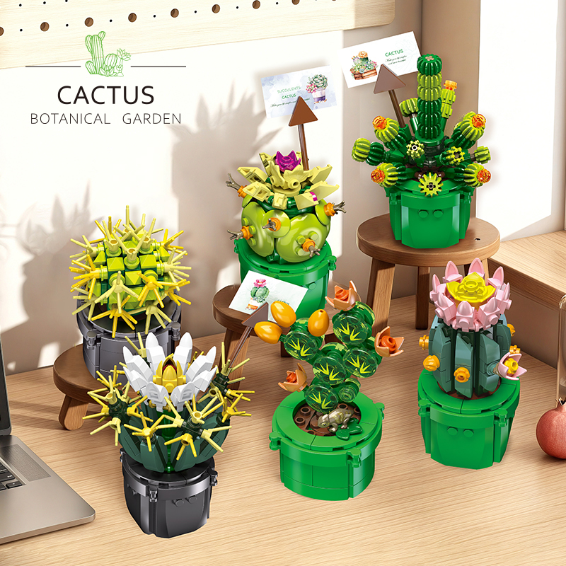The Cactus-marstoy