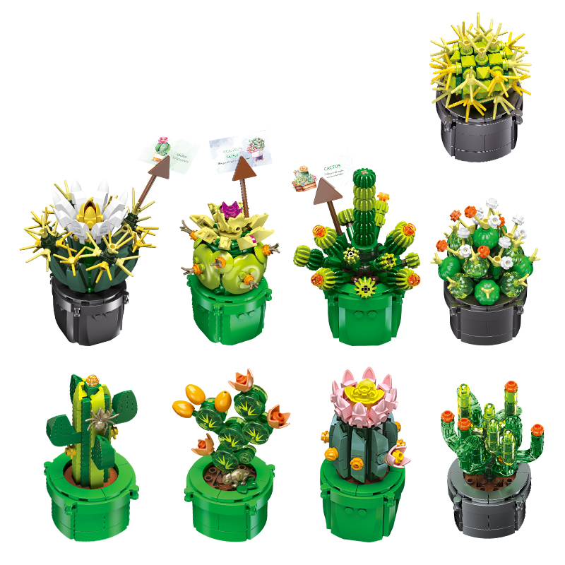 The Cactus-marstoy