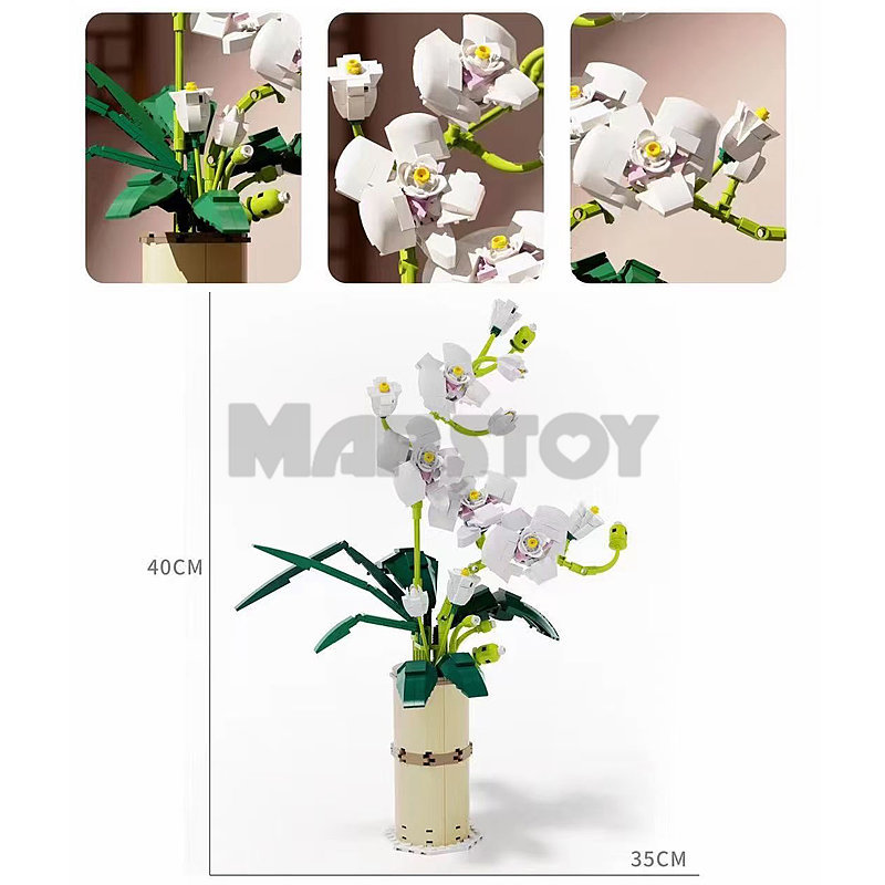 The Phalaenopsis Orchid-marstoy