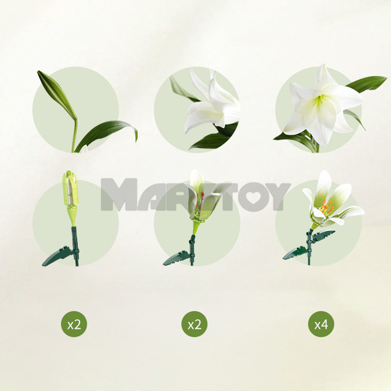 The Lily without Vase-marstoy