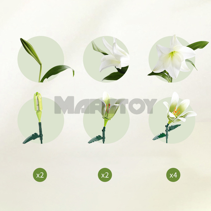 The Lily without Vase-marstoy