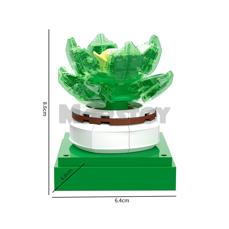 The Succulent Plants-marstoy