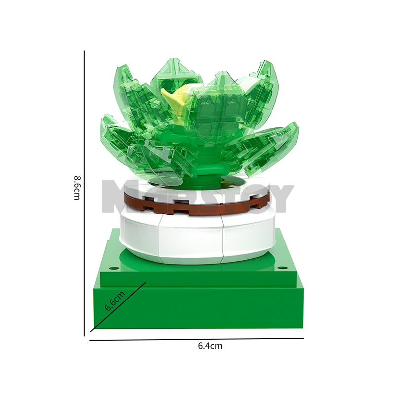 The Succulent Plants-marstoy