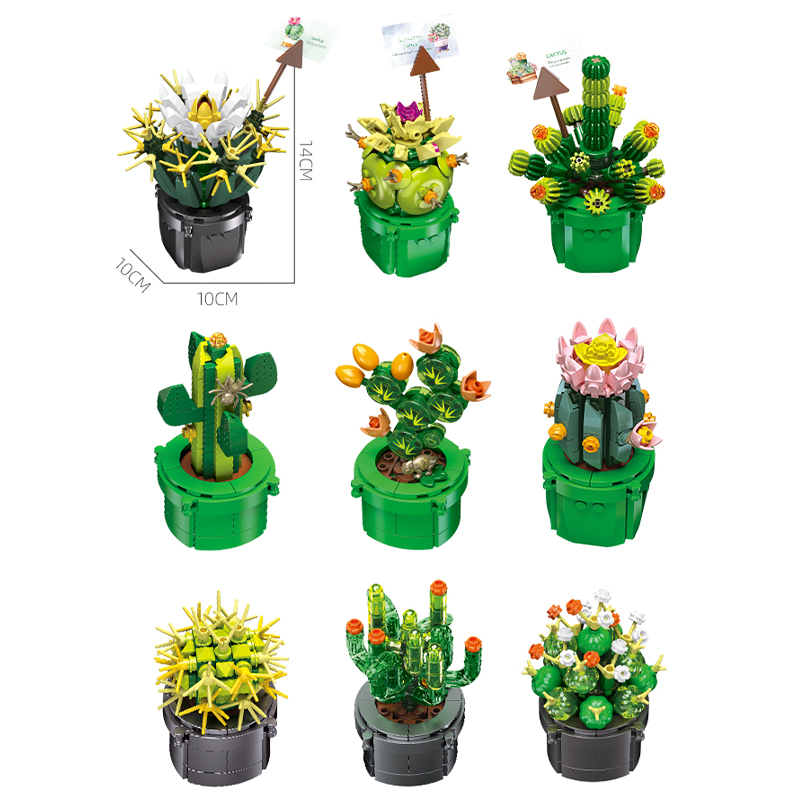 The Cactus-marstoy