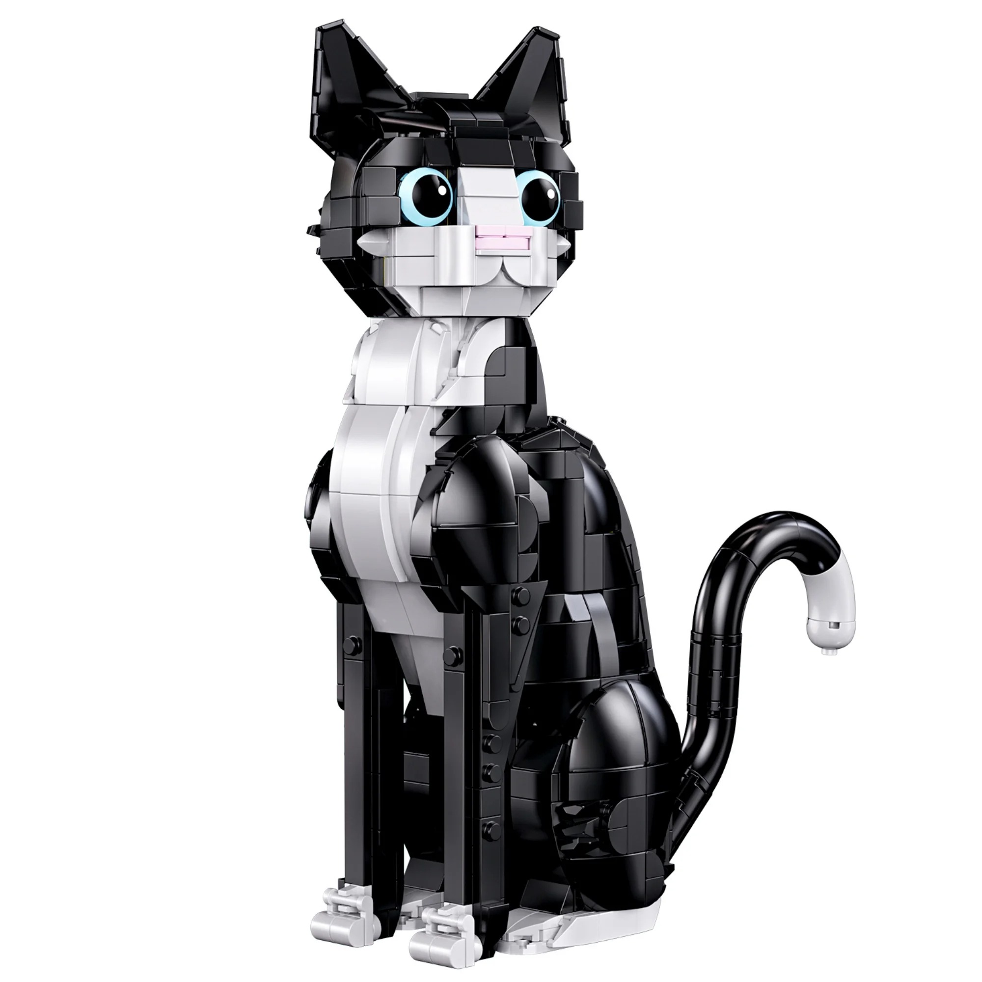 The Cat