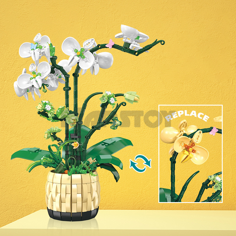 The Orchids-marstoy