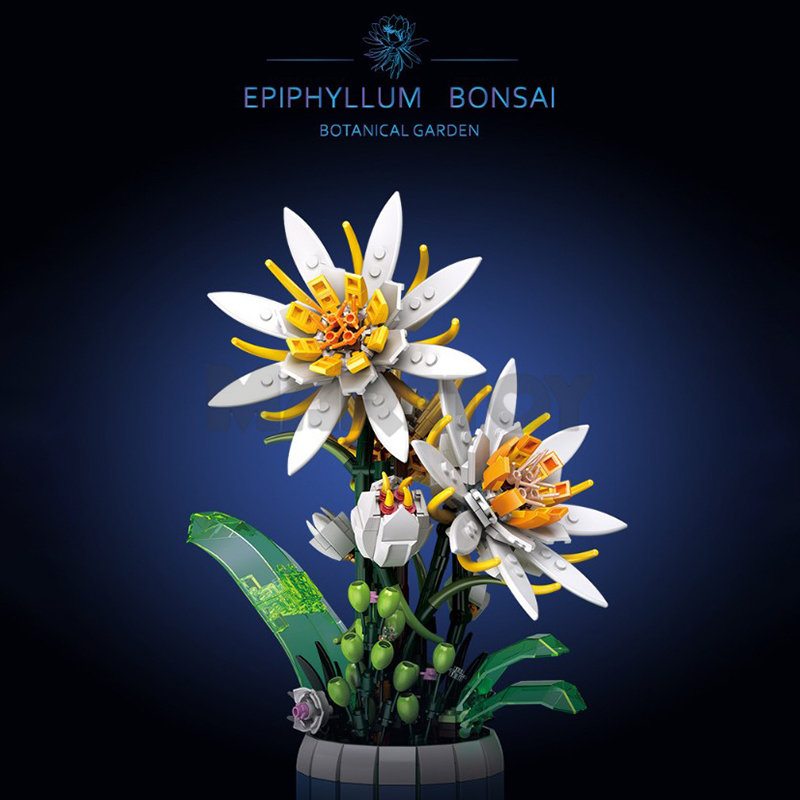 The Epiphyllum Bonsai-marstoy