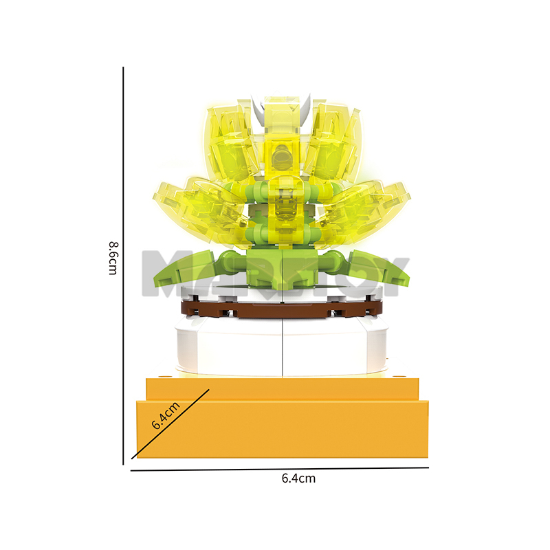 The Succulent Plants-marstoy