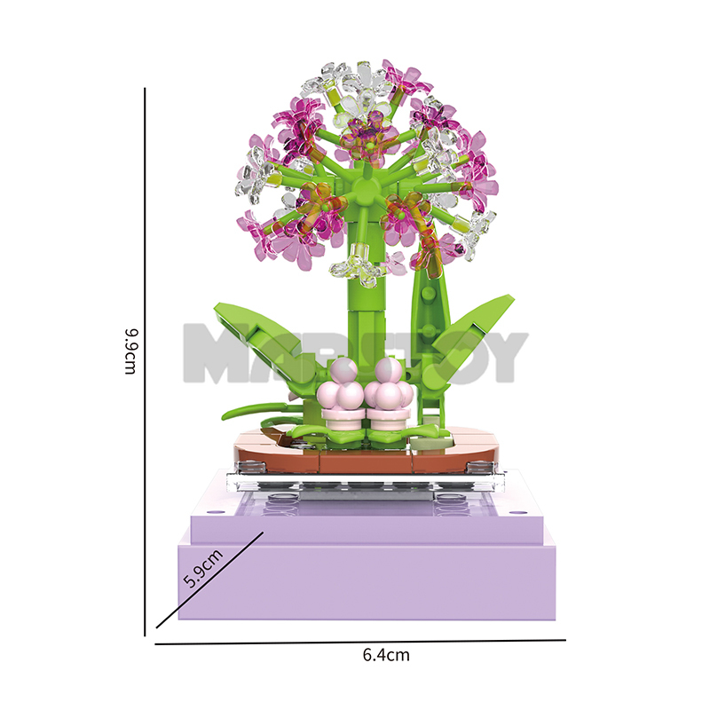 The Succulent Plants-marstoy