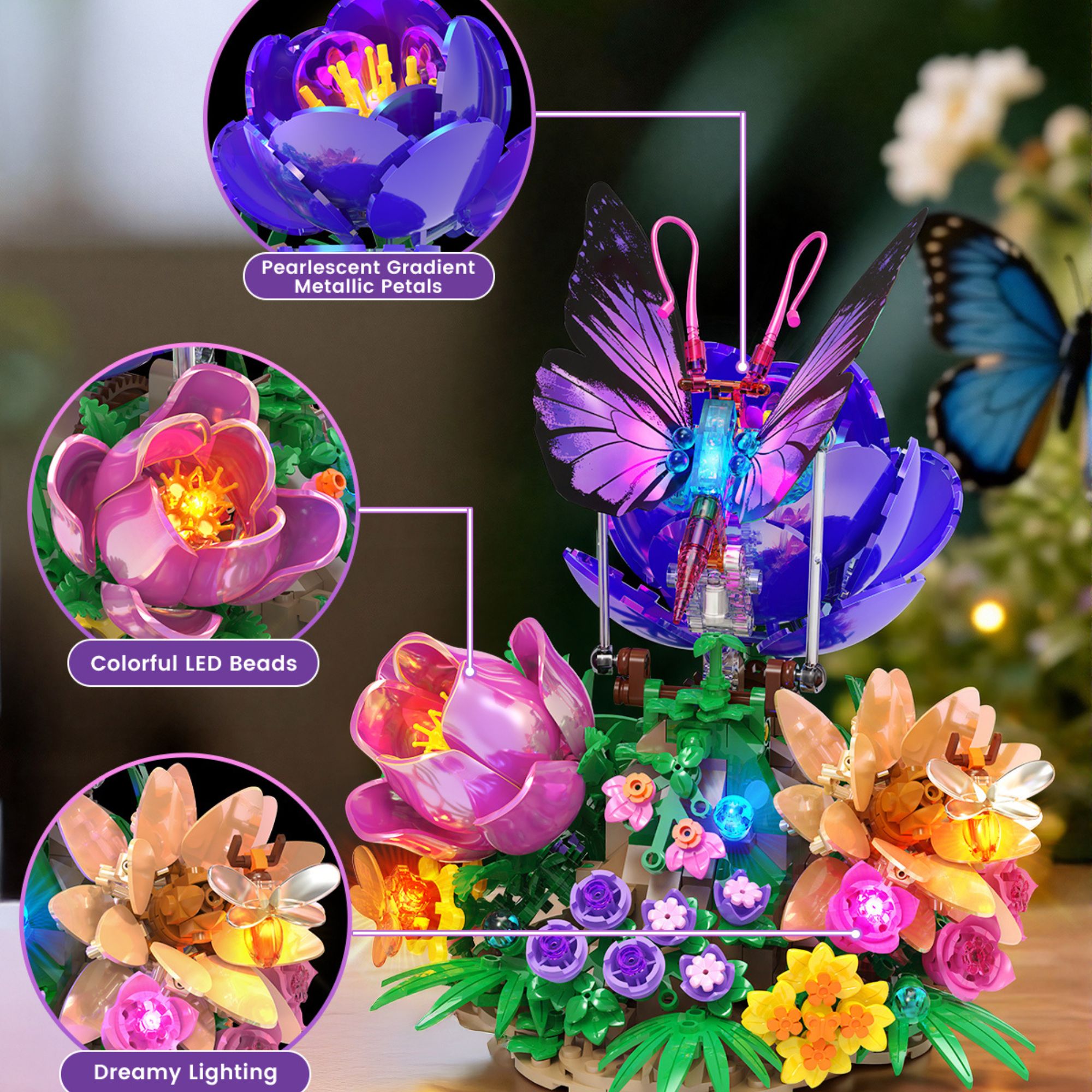 The Butterfly