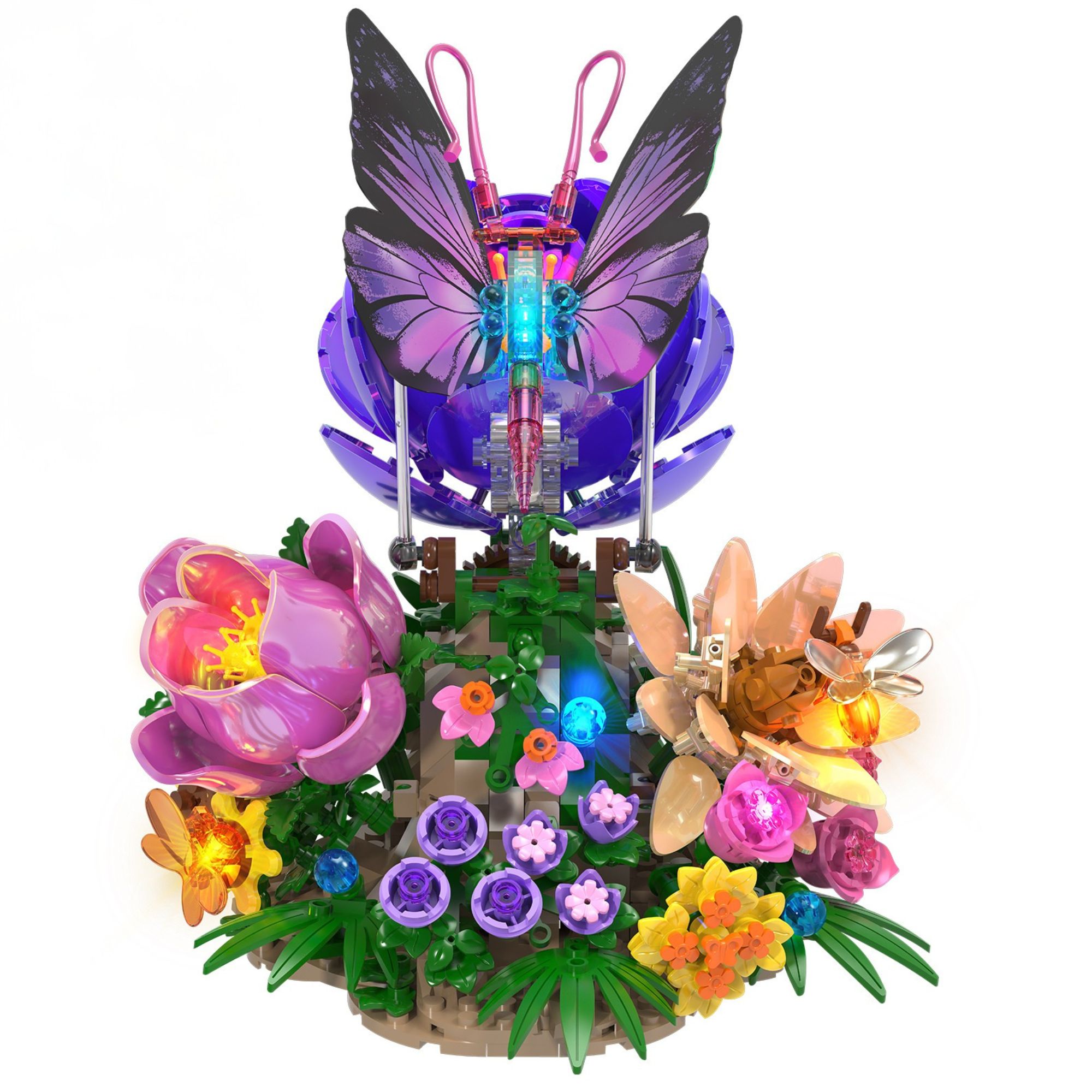 The Butterfly