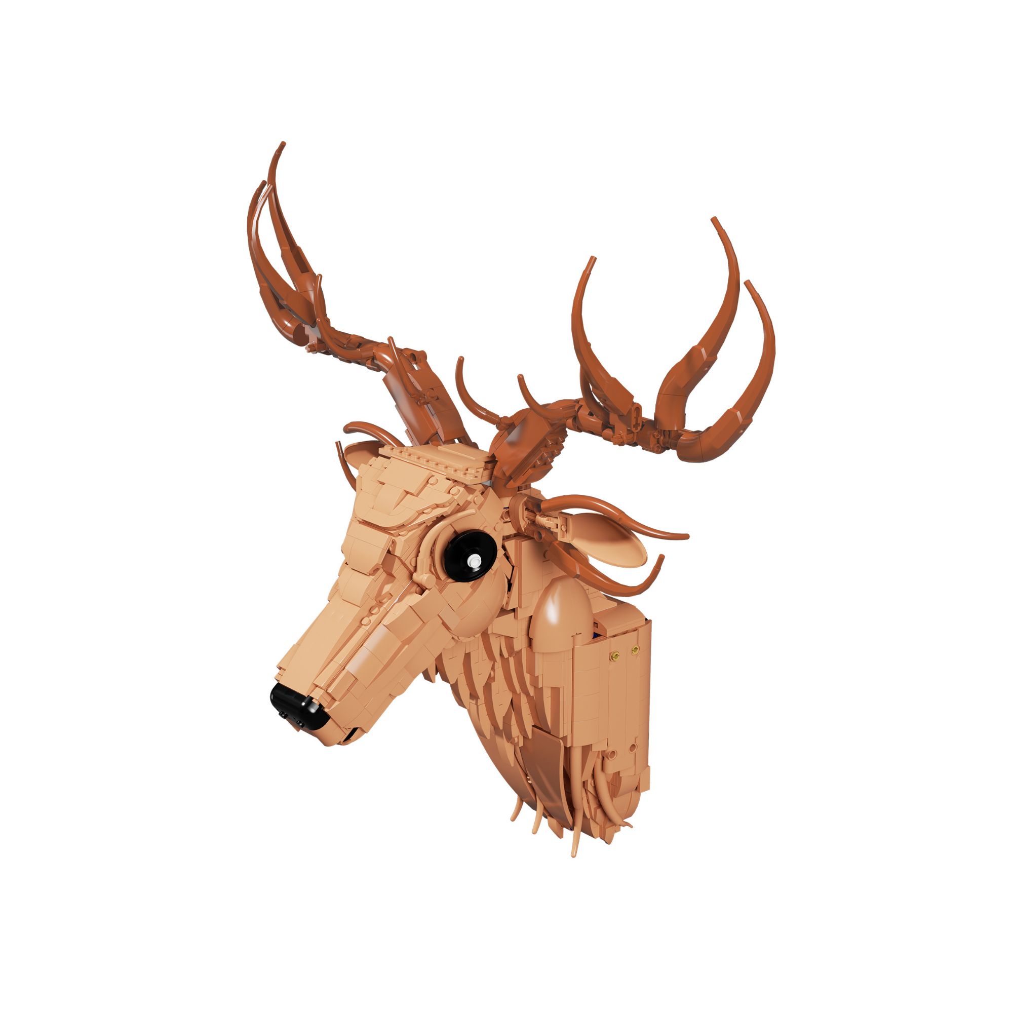 The Deer Head