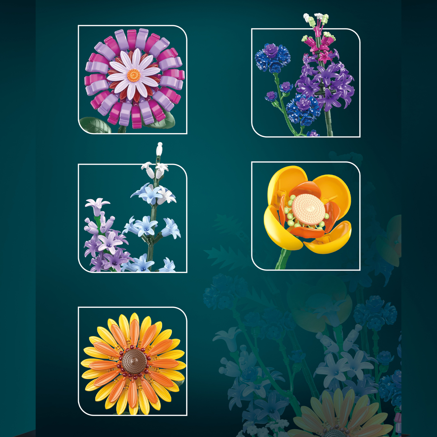 The Hoshino Hana Collection