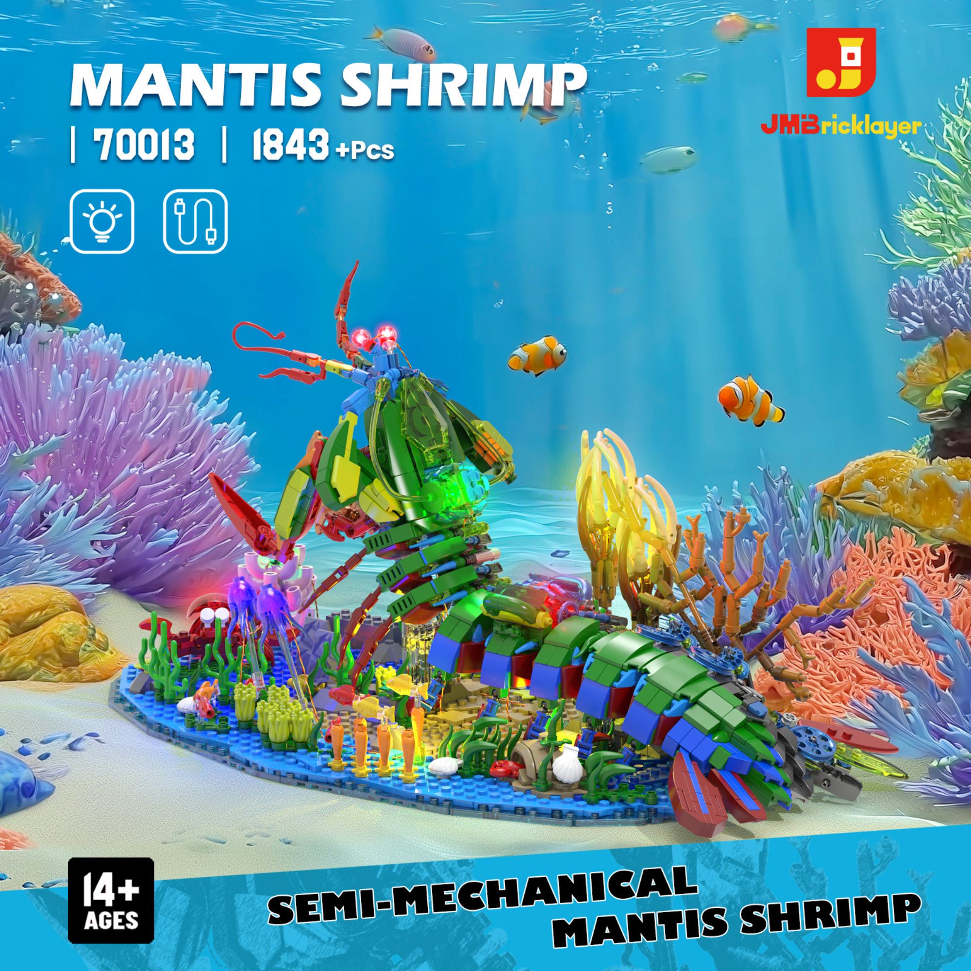 The Mantis Shrimp