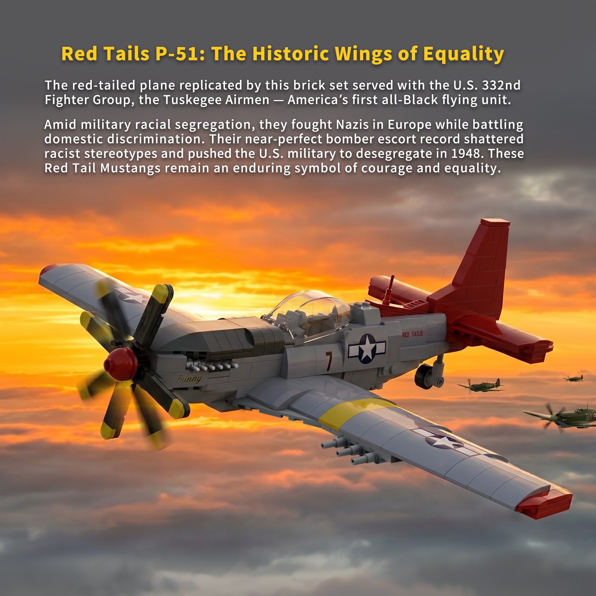 The P51 Mustang Fighter Jet