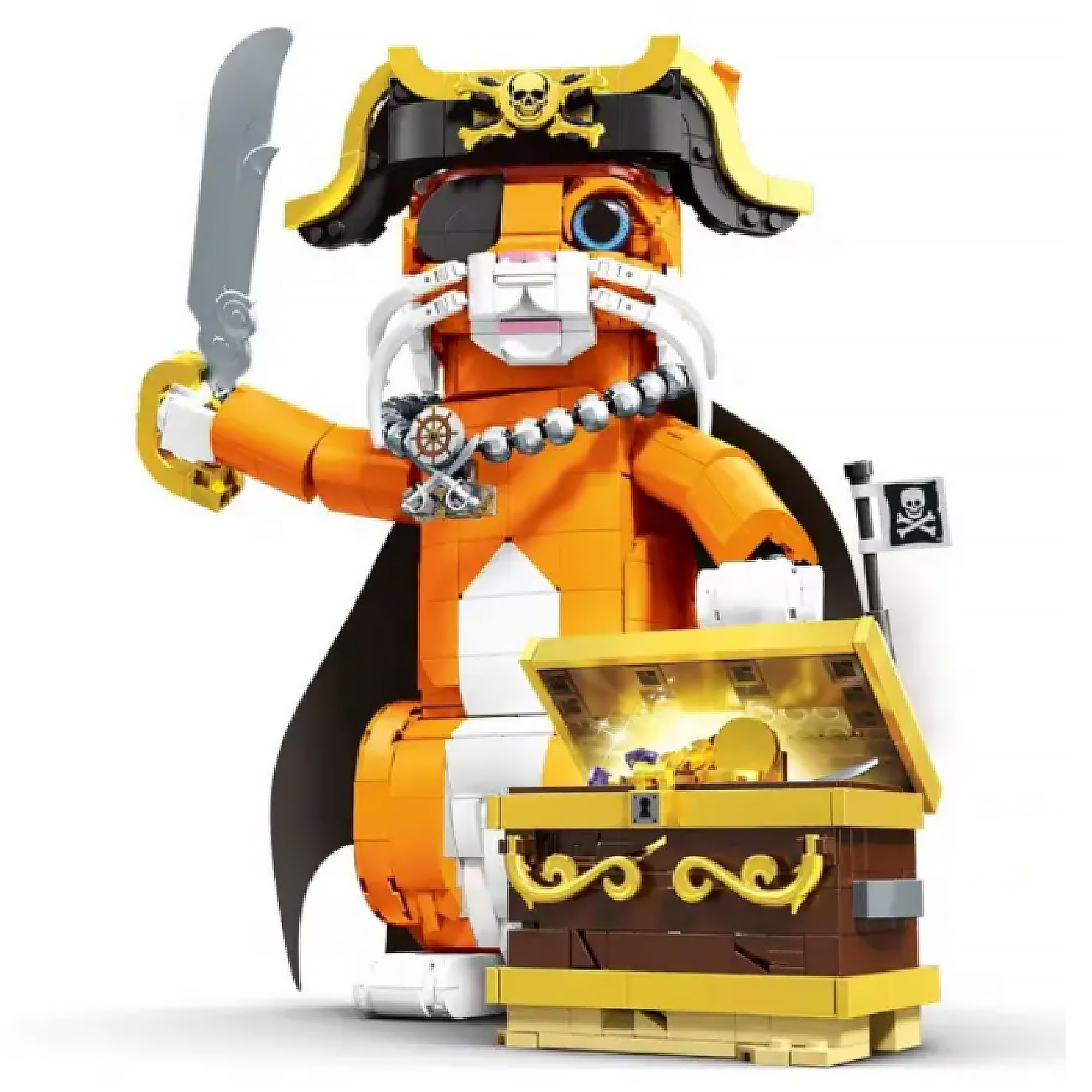 The Pirate Cat
