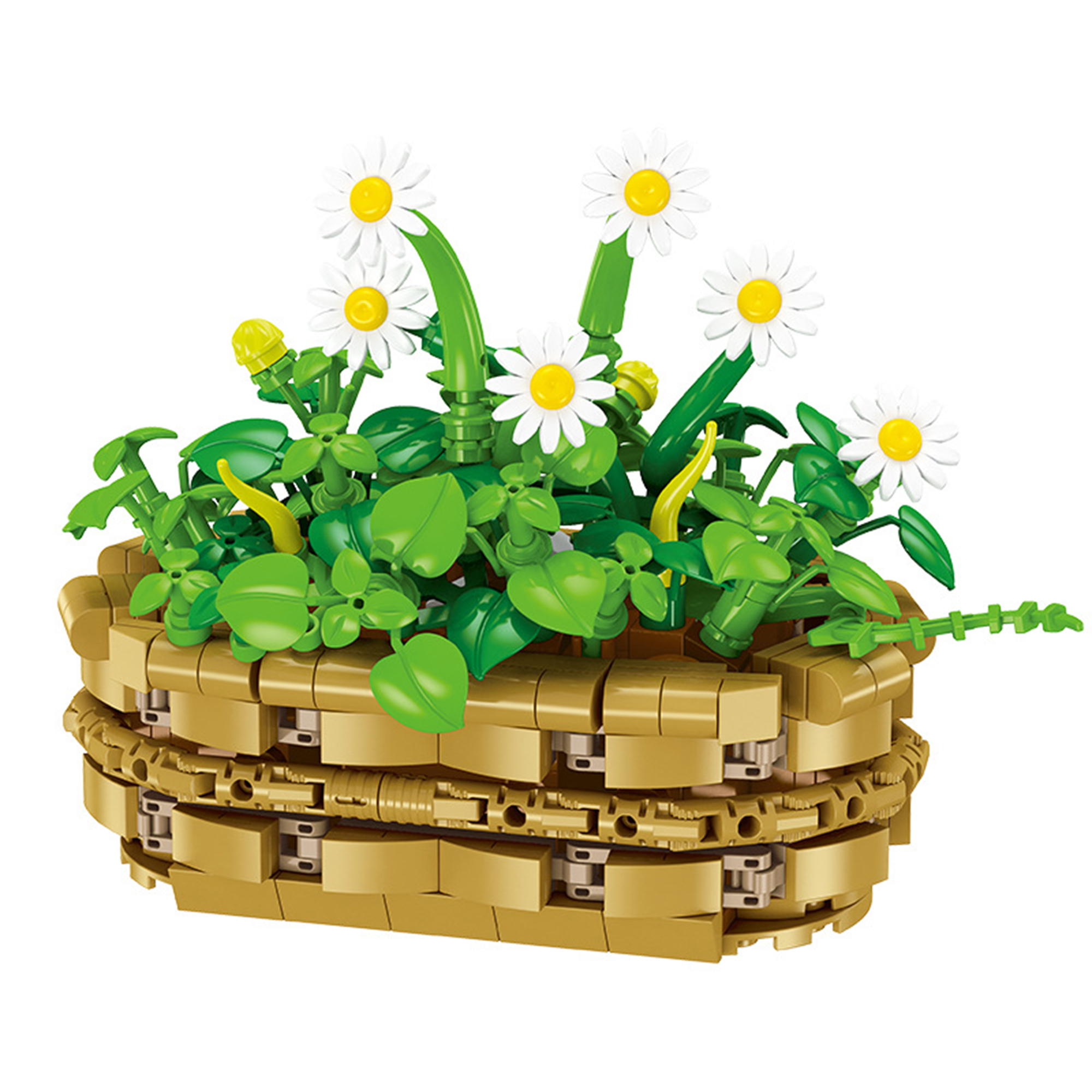 The Potted Daisies