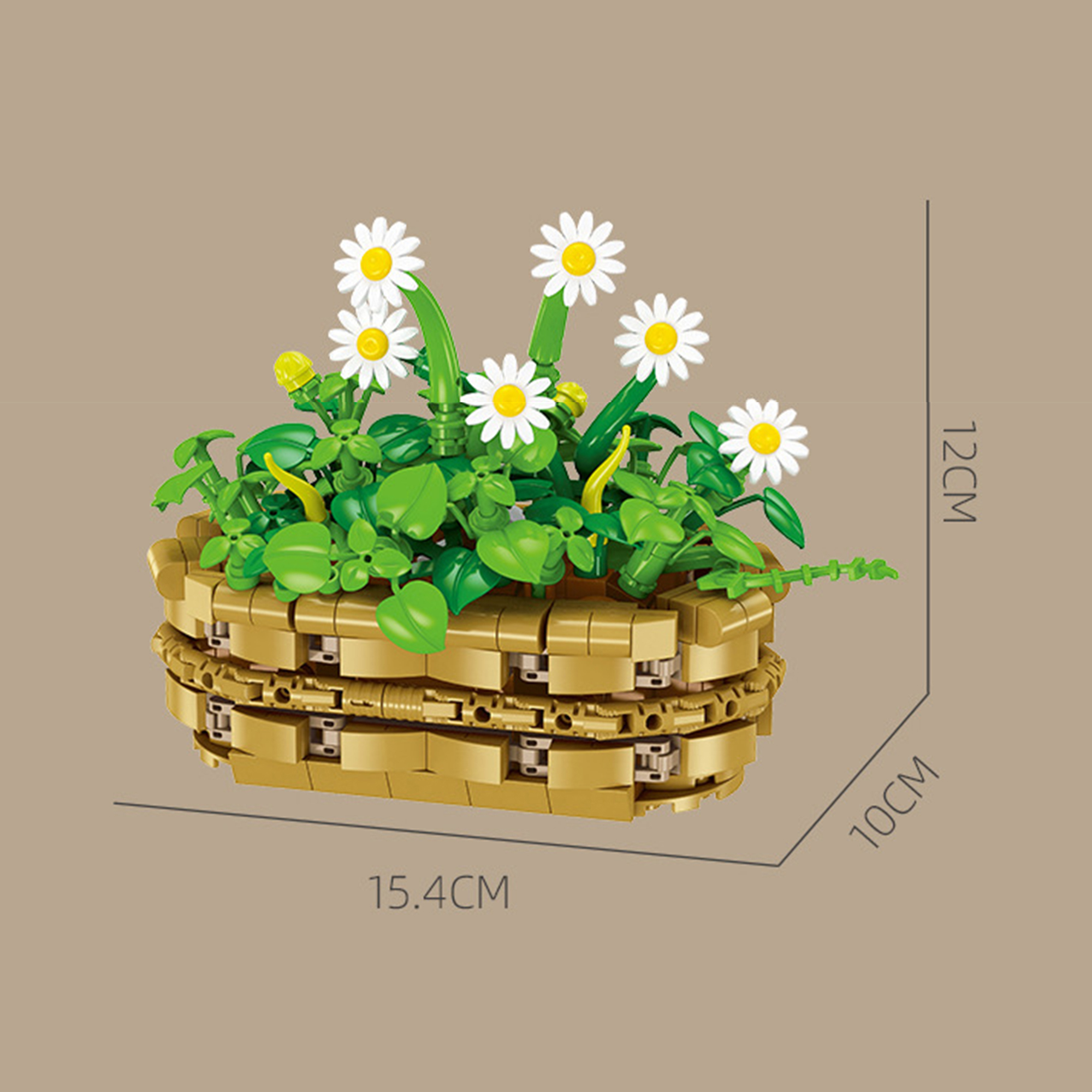 The Potted Daisies
