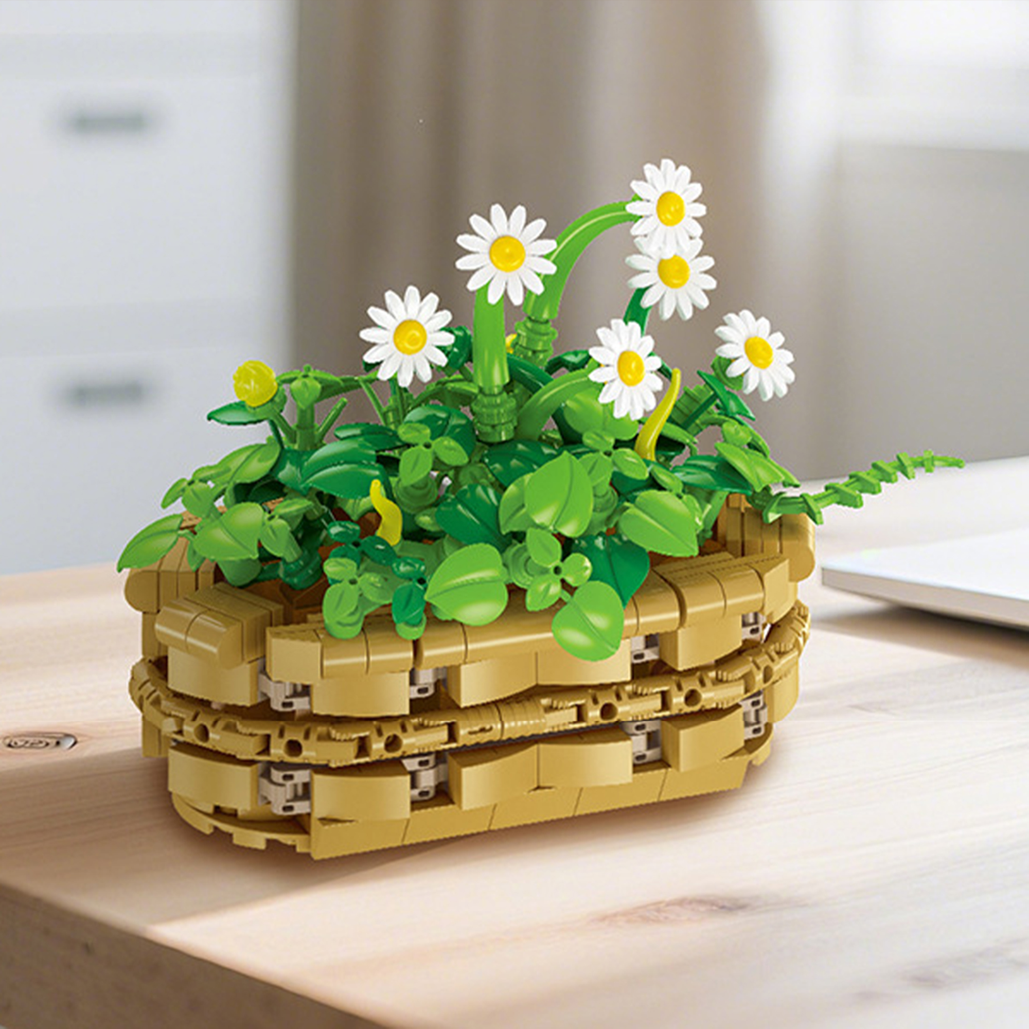The Potted Daisies