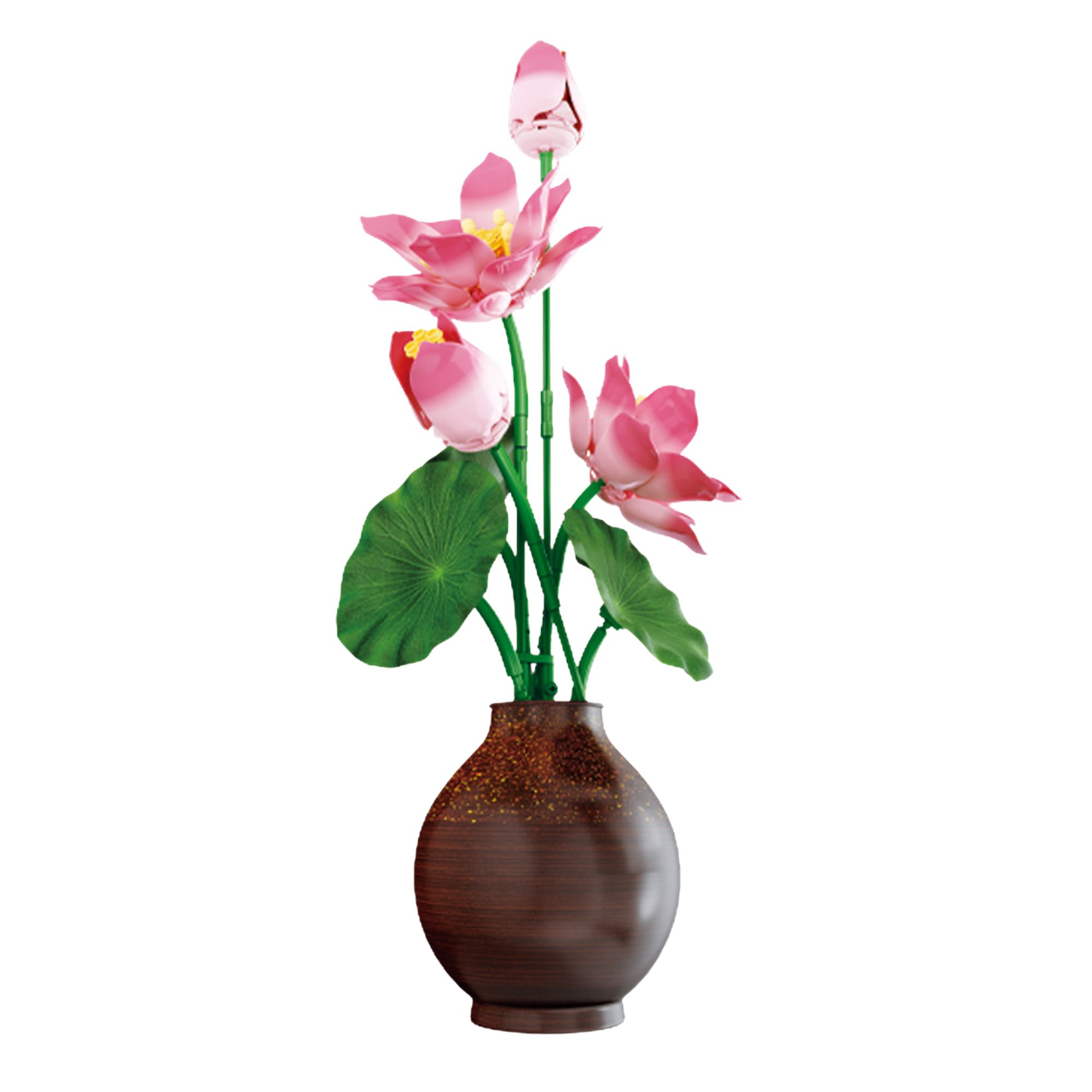 The Preserved Lotus Flowers