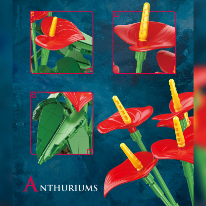 The Red Anthuriums Story